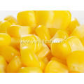 Sweet Corn Seeds Organic